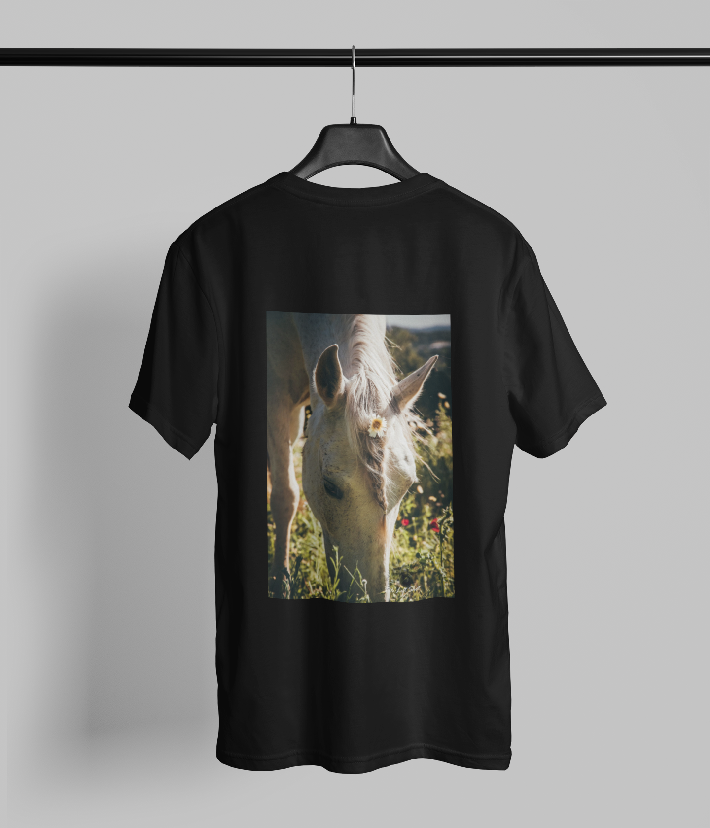 Cavalo branco by The Left Shot